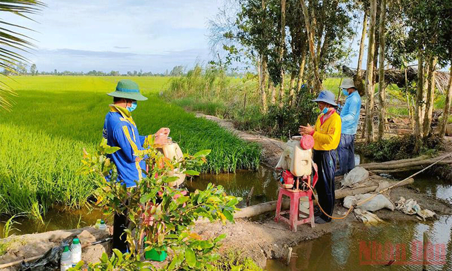 Hỗ trợ các tỉnh phía nam ổn định sản xuất trong bối cảnh dịch Covid-19 còn diễn biến phức tạp.