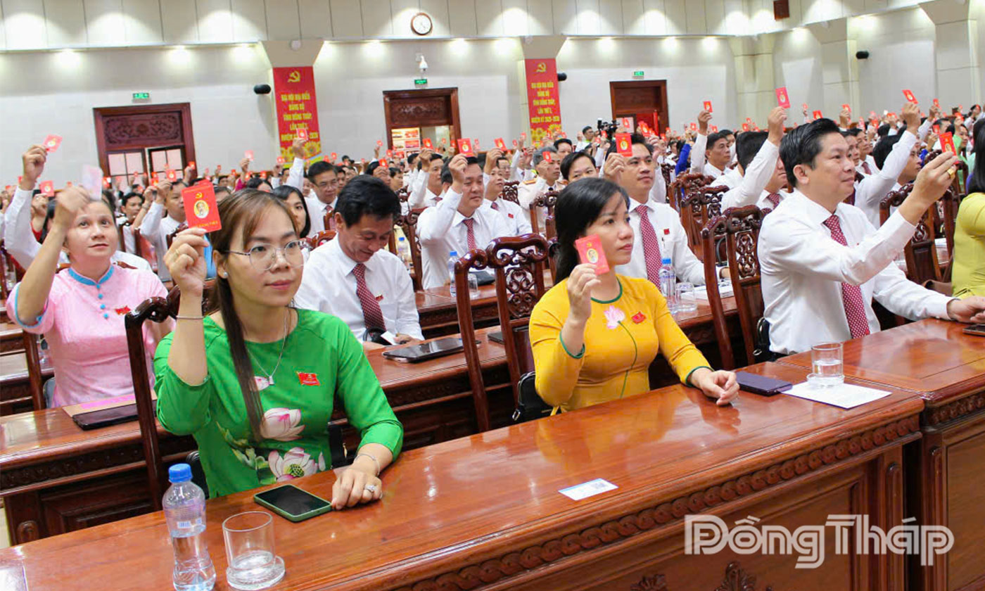 Các đại biểu thông qua nghị quyết Đại hội.